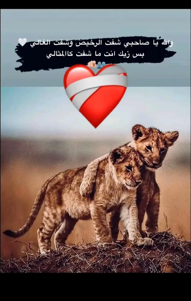 ##اخوي ابو الليل القيادة ❤️‍🔥🫂🫵🏿❤️‍🔥🌹🦅🔥❤️🌸🫀🫀🙊🙈🌹🦅🫀🦅