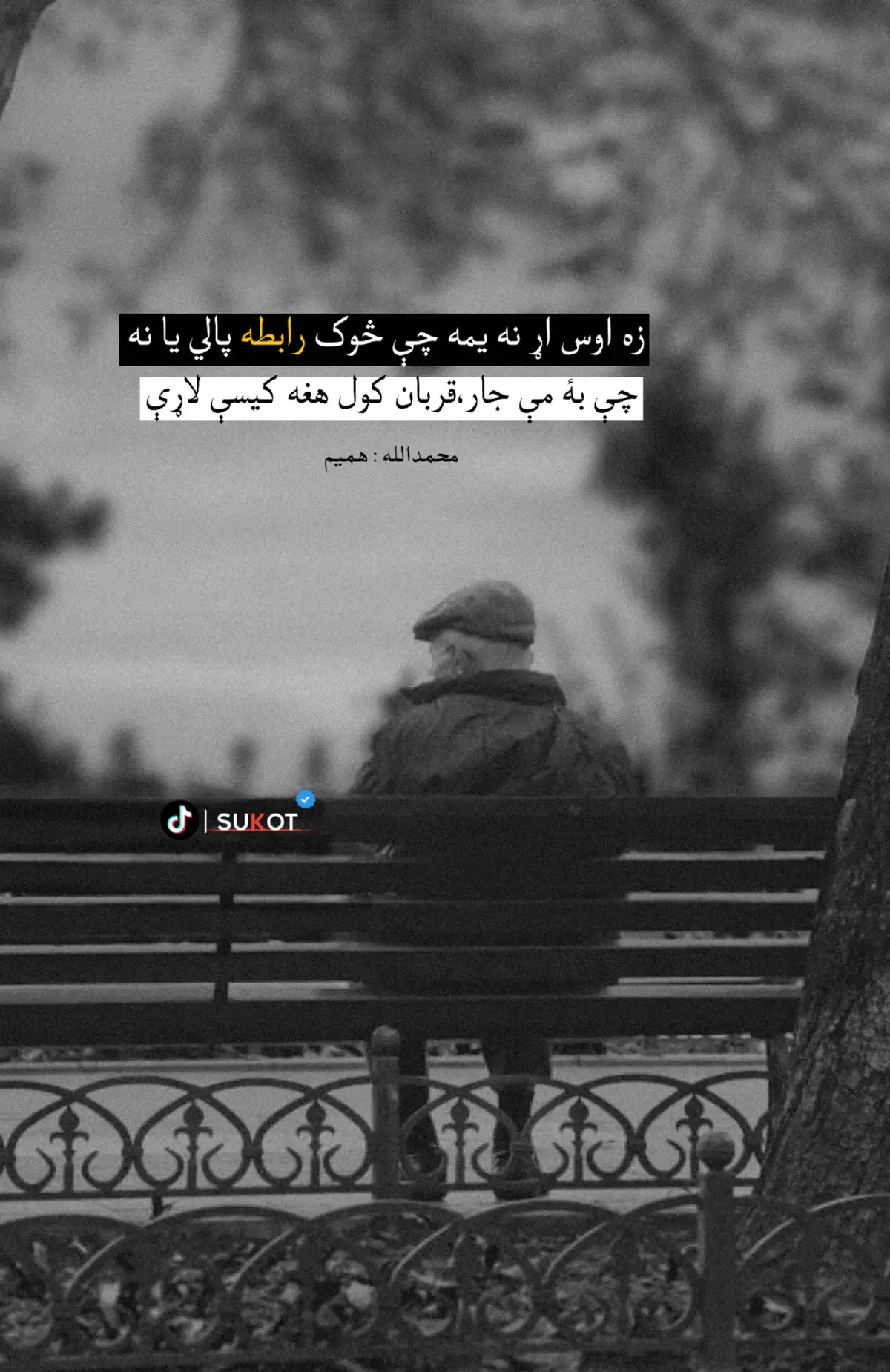 #creatorsearchinsights2025 #sukot #fyp #foryou #foryoupage @𝑰𝒏𝒕𝒊𝒌𝒉𝒂𝒃_🍂 @ᴋʜᴀᴍᴏsʜ_🍂 