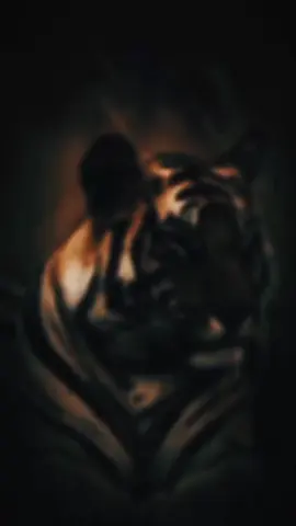 hati manusia itu misteri 