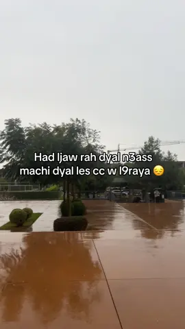 Wa help #uic #fyp #uni #viral #viraltiktok 