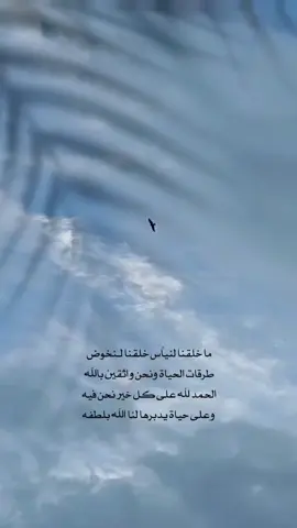 #الحمدالله_علی_کل_حال❤ #كلام_من_القلب #😍😍😍 #خواطر #🦋 