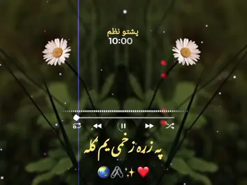 #creatorsearchinsights  #په زړه زخمی یم ګله #پشتون_تاجیک_هزاره_ازبک_زنده_باد #ppppppppopppppppppppppp #viral 