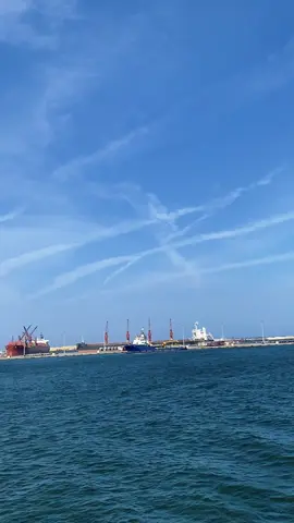 #intertibesti#mediterraneanshippingcompany#leptous