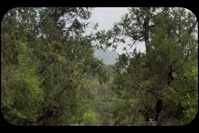 #قرآن #اجر_لي_ولكم_ولوالدينا_وللمسلمين #علي_جابر #fyp #استغفرالله 