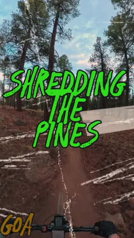 Thank you for watching my epic outdoor adventures! Whether it be mountain biking out on the trail, hiking up a mountain, exploring a new city, or reviewing camera and bike gear I always have a blast and I appreciate the support. Consider subscribing to Get Out Arizona for more adventure content. As well as participation in our Amazon affiliate link program for coffee, gas and park pass money! We appreciate the contribution to our adventures. https://www.youtube.com/@GetOutArizona (https://www.youtube.com/@GetOutArizona) Remember: Be kind to yourself and others. Be amazing stewards on the trail. And we have to ask, what are you waiting for, “Get Out, Arizona!” We will see you on the next adventure. #EMTB #TrekRail #FlagstaffLoopTrail #ArizonaMTB #GarminBadge #MountainBiking #GetOutArizona #CyclingLife #TrekBikes #EMTBAdventure #FlagstaffArizona #GarminWatch #insta360x5 #QuadLock #Gen5Rail #Gen5RailReview #TrekGen5Rail9.8 #ExploreArizona #trailsafety #NorthernArizona #NorthernArizonaTrails #BikeReviews #ExploreArizona #outdooractivity #OutBoundLighting #ArizonaAdventures #TrekBikes #MTBPOV #FlagstaffMTB #FlagstaffTrails