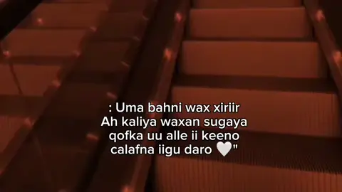 calaf kheyr leh yaa alle ii doro 🤍 #fypp #Amran🖤🦢 #Azuura🌷 #foryoupage #fypシ゚ 