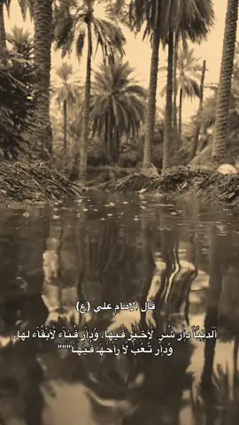 #شاركوا🤎👇  .  .  .  .  #مشاهير_تيك_توك #العراق🇮🇶 #متابعه 