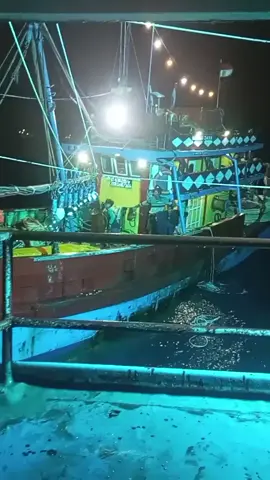 terjsdi tabrak lari di laut  krimun