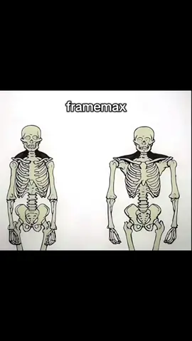 #looksmax #looksmatter #framepill #fyp #clavicular 