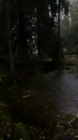 #باسميه_عشاق_باسم_الكربلائي_باسميات #متابعه_ولايك_واكسبلور 