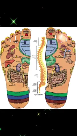 🌿✨ REFLEXOTERAPIA – PUTEREA VINDECĂRII PRIN TALPĂ! ✨🌿 🦶 Știai că fiecare organ are un punct reflex pe tălpi? Reflexoterapia stimulează aceste zone și ajută corpul să se echilibreze natural! 💥 BENEFICII MAJORE: Elimină toxinele 🧘‍♂️ Îmbunătățește circulația 💉 Reduce stresul și anxietatea 😌 Ameliorează durerile cronice 💪 Sprijină funcția ficatului, rinichilor și a sistemului digestiv 🍃 🔥 Ideală pentru: Oboseală, insomnie, dureri de spate, migrene, tensiune musculară și probleme digestive. 💬 Vrei echilibru și energie? Programează o ședință de reflexoterapie și redescoperă starea de bine din tălpi până în suflet! 🌿 📍 Locație: Centrul Vladimir Ghika, vis-a-vis de Kaufland, Câmpulung Muscel 📲 WhatsApp: 0740 515 257  #Reflexoterapie #TerapieNaturală
