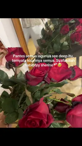 get well soon❤️‍🩹 #sherine #arabicsong #fypp 