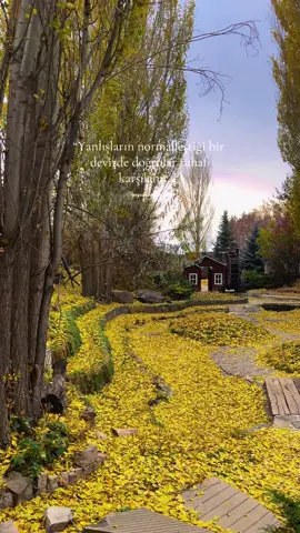 🍂🍁🍃 #erzurum #botanik #doğa #sonbahar #kesfetteyiz 