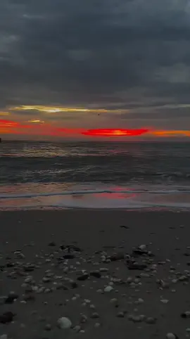 When you feel like you’ve finally found the person you were searching for without even knowing it 💞 The one who changes your day with a smile and brings you peace just by being there 💫 This video is for you and them 💌 Send this video to the person who means the world to you ❤️ Follow me for more heart-touching words 💯