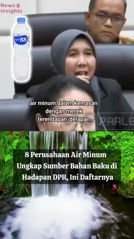 8 Perusahaan Air Minum Ungkap Sumber Bahan Baku di Hadapan DPR #rapatdpr #dpr #airmineral #airtanah  #airpegunungan 