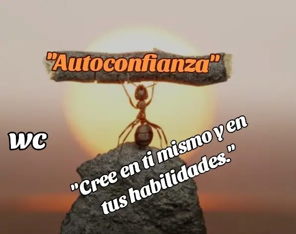 La autoconfianza es fundamental para alcanzar nuestros sueños. Creer en ti mismo te permite tomar riesgos, aprender de los fracasos y celebrar tus logros. Cada vez que te enfrentas a un desafío, refuerzas esa creencia en tus habilidades. Recuerda, el primer paso hacia el éxito es confiar en que tienes lo necesario para lograrlo.   Atte: William Contreras.