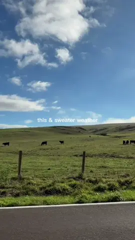 Oh, we're here for it 🍂