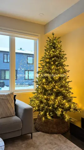 Setting up the viral Costco Christmas tree 🎄✨ #costcochristmastree #christmastree #christmasdecor #christmastiktok #christmastree 