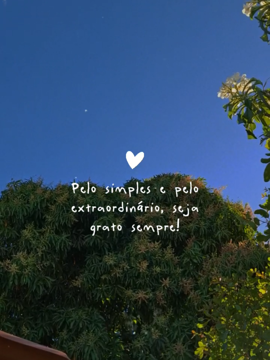 Seja grato sempre #CapCut #capcutpioneer #pioneertemplate #frases 