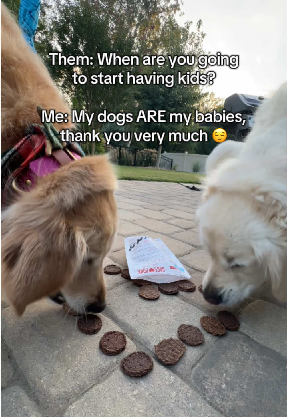 No shade to babies, we love them too! But right now, our dogs are my everything. They’ve stolen our hearts 💙 and filled our world with unconditional love, laughter, and the best traditions. 🐶✨ #DogMom #DogDad #DogsAreFamily #FarmlandTraditions #FurBabyLove 📸 @SHAYNA & HOPEY 💖 