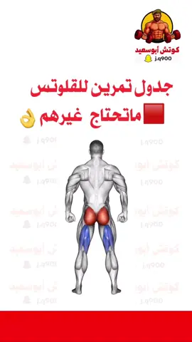 تمرين قلوتس ماتحتاج غيرهم 👌#كمال_اجسام #رياضة_كمال_اجسام #تمارين #Fitness 