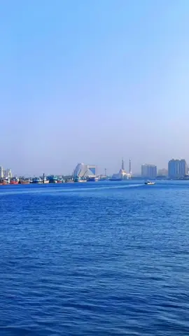 #❤️ #uae #colorsofnature #foryoupage #❤️❤️ 