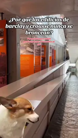 🤗🤗#HechoenPeru #arquitecturasostenible #jeanpierrecrousse #sandrabarclay #arquitecturaperuana 