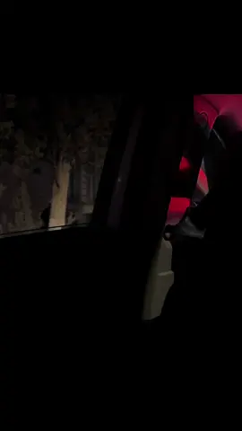 bu mahnı lazım olan dəyəri almır.#fyp #foryou #aygünbəylər #qəlbiminsəsi #lyrsc 