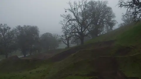 Absolute Raw footage of man and bike aka the wizzard Brandon Semenuk, shredding a a prestine MTB Trail. Remember this @Red Bull Bike #MTB #redbull #fyp #dirtjumps #tornado 