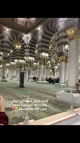 #الروضة_الشريفة #نبينا_محمد_صلى_الله_عليه_وسلم #الصلاة_والسلام_عليك_ياحبيبي_يارسول_الله #اللهم_صلي_على_نبينا_محمد 