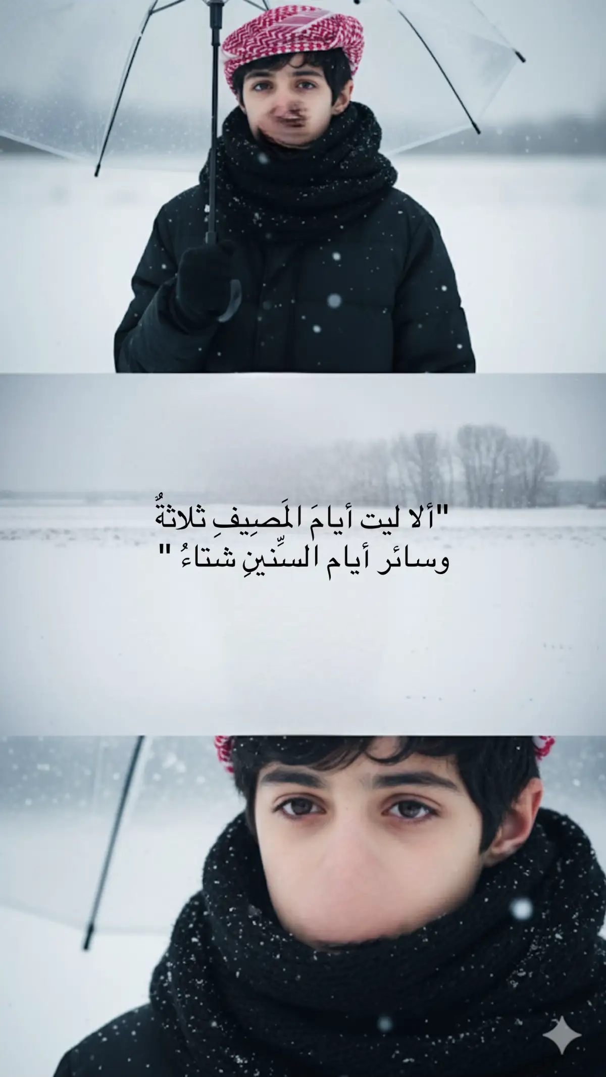 #ترند #ترندكم #بيت_شعر #شتاء #الحياة_الواقعية 