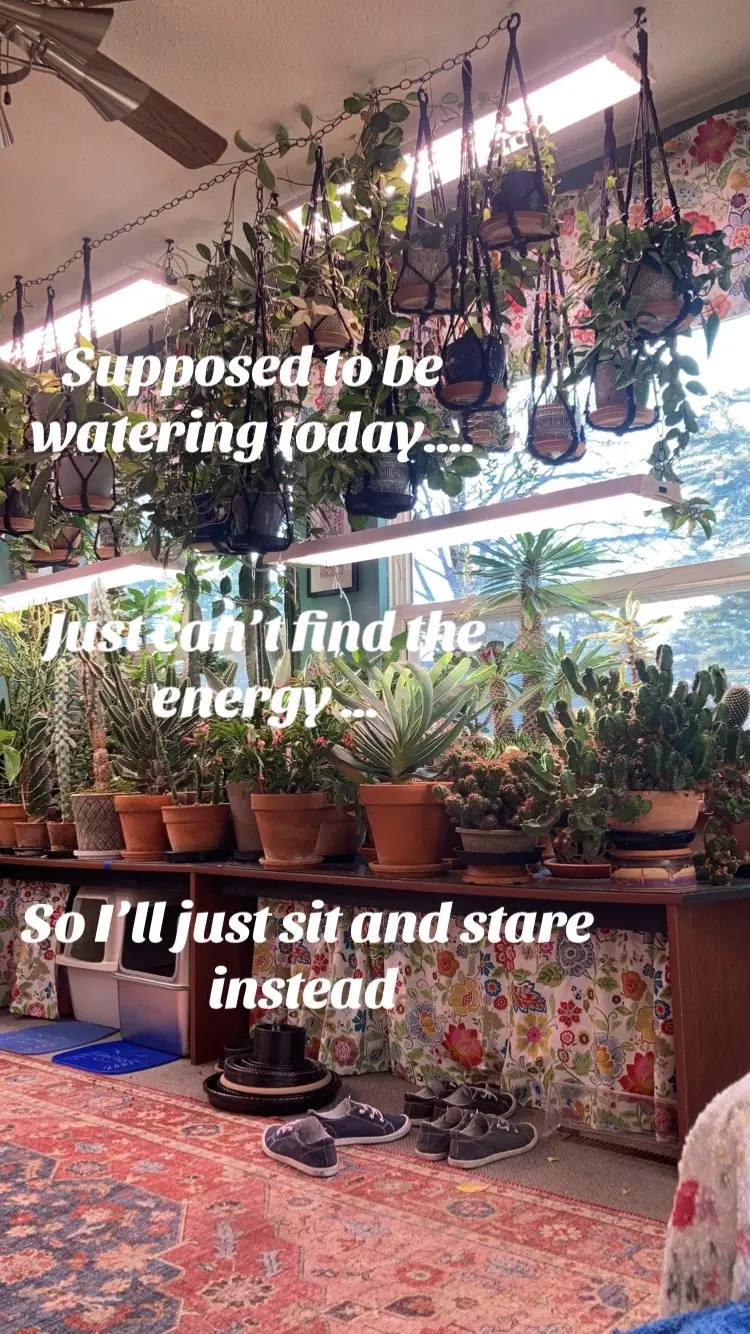They will still be alive tomorrow and probably more grateful for a drink so today I sip my coffee and take a moment to relax #relax #plantsoftiktok #plants #breathe 