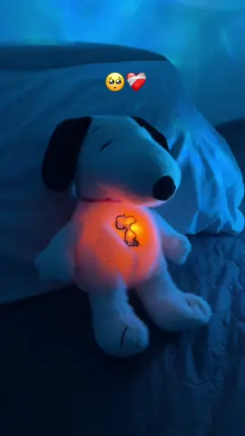Todo fan de Snoopy necesita este peluche de Snoopy 🥺❤️ #snoopy #snoopyquerespira #snoopylover 