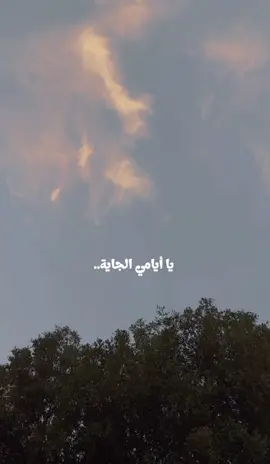 عسى أيامنا الجايه تسّر الخاطر..🤍 #الكويت 