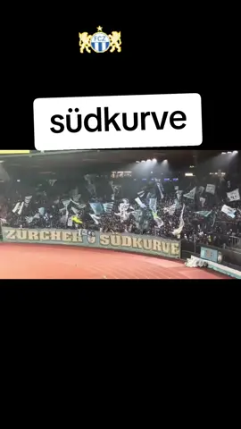 #Fcz#fczürich#südkurve#zürichsüdkurve#fans@fcz_offiziell 