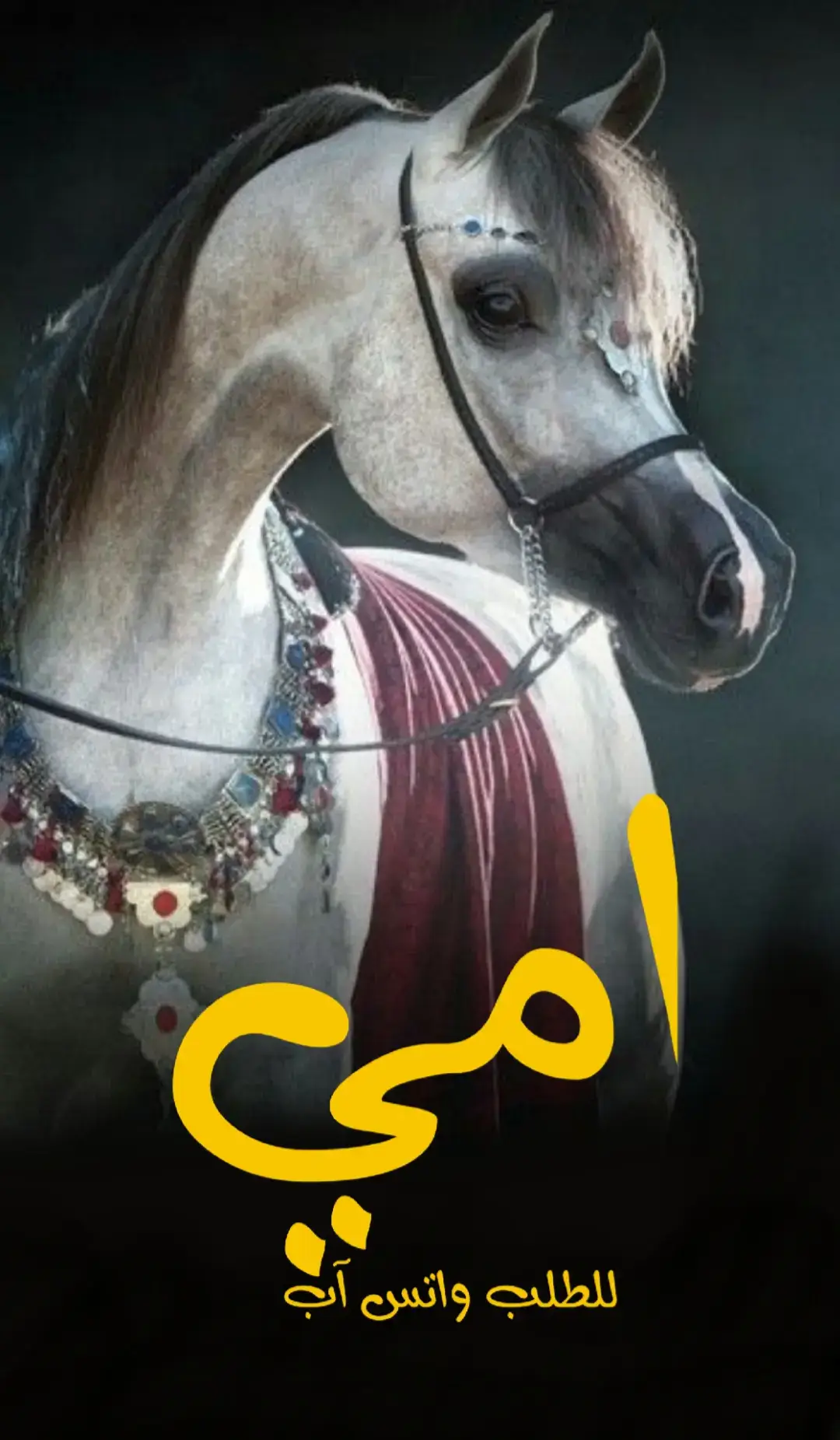 شيله امي #شيله امي ع الراس والعيني حماسيه طرب #شيله امي حماسيه طرب #شيلات امي حماسيه طرب #شيلات امي ع الراس والعيني حماسيه طرب  #شيلات_مدح_امي_حماسيه_طرب   ام العريس اسماء ام العريس اسم ام العريس جديد ام العريس  حقوق ام العريس حماسيه ام العريس2025 شيله ام العريس,شيله ام العريس رقص ام العريس مجانيه, شيله مدح ام العريس,شيله ام العريس جديده, شيله مميزه لام العريس,شيله لأم العريس جديد ام العريس طرب,شيله جتكم ام العريس,اقبلت ام العريس, جت ام العريس,ارحبي يم العريس, العبي يم العريس, طلت ام العريس, اقبلت بنت الفخر بنت الفخر,ارقصي يم العريس, شيله ترحيبيه لام العريس,شيله ترحيب بام العريس, شيله ترحيبيه بام العريس,شيله ترحيب بالضيوف من ام العريس,شيله ترحيب بالضيوف من ام العريس, طلي يم العريس,طلي على الحفل, تقدمي يم العريس, جاكم الموت الحمر, شيله ام العريس, بدون اسماء, بدون حقوق_نورت ام العريس, ياهلا بام العريس, بنت الشيوخ, بنت الاكابر, شيله مميزه لام المعرس, شيله مميزه لام العريس  اسماء, شيله مميزه لام العريس, بدون حقوق العريس اقبلي, رحبو بام العريس, افرحي يم,افرحي في عرس ابنك,شيله مهداه_لام العريس ام العريس في ولدها_شيله ام العريس في ابنها_شيله ام في ضناها_افرحي عسى الفرحه تدوم, افخم شيله ام العريس,افرحي يالغاليه_افرحي الشامخه,افرحي في عرس ابنك, تبختري يم العريس, تمخطري يم العريس_جت تستثير الحفل_شيله ام العريس ام العروس_حيو ام العريس_صفو لام العريس_فزو لها يالحاضرين_قومو لها العريس,شيله ام العريس حماس, شيله ام العريس بدون اسماء,شيله ام العريس بدون حقوق,العبي في عرس ابنك, العبي في حفل ابنك,شاركوها فرحه ولدها,شاركوها بحفله ولدها,باركوها فرحه ولدها,يم العريس, شوشي والعبي, يامرحبا مليون بأم العريس, يامرحبا باسم ام العريس,شيله ام العريس في ولدها, شيله ام العريس في ابنها, شيله ام العريس  ام محمد, شيله ام العريس ام عبدالله, شيله ام العريس ام سلطان, شيله ام العريس ام فهد, شيله ام العريس ام سلمان, شيله ام العريس ام سطام, شيله ام العريس ام فواز, شيله ام العريس ام سعيد, شيله ام العريس ام فيصل, شيله ام العريس ام سعود, شيله ام العريس نواف, شيله ام العريس ام نايف, شيله ام العريس ام ناصر, شيله ام العريس ام يوسف, شيله ام العريس ام ماجد, شيله ام العريس ام حمد, شيله ام العريس ام علي, شيله ام العريس ام احمد, شيله ام العريس ام مشاري,شيله ام العريس ام مازن, شيله ام العريس ام يحي, شيله ام العريس ام فارس, شيله ام العريس  جاسم, ام العروس بدوناسماء_شيله ام العروس_بدون اسم,شيله ام العروس جديد2025شيله ام العروس  حقوق ام العروس حماسيه2025 ام العروس2025 شيله ام العروس,شيله ام العروس رقص2025 ام العروس مجانيه, شيله مدح ام العروس,شيله ام العروس جديده, شيله مميزه لام العروس,شيله لأم العروس جديد ام العروس طرب,شيله جتكم ام العروس,اقبلت ام العروس, جت ام العروس,ارحبي يم العروس, العبي يم العروس, طلت ام العروس, اقبلت بنت الفخر بنت الفخر,ارقصي يم العروس, شيله ترحيبيه لام العروس2025,شيله ترحيب بام العروس, شيله ترحيبيه بام العروس,شيله ترحيب بالضيوف من ام العروس2025,شيله ترحيب