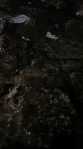 #كورنيش_شط_العرب #فيديوهاتي_تصاميمي🎶🎬 #صعدوني_اكسبلورر #xuhuongtiktok #parati 