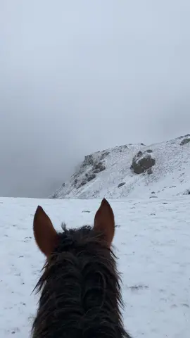 ⛰️#rotinda36 #kağızman #çemçe 