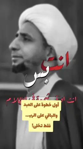 فقط أوقد الشمعة 🕯❤ #الشيخ_علي_المياحي #سلطان_القلوب 