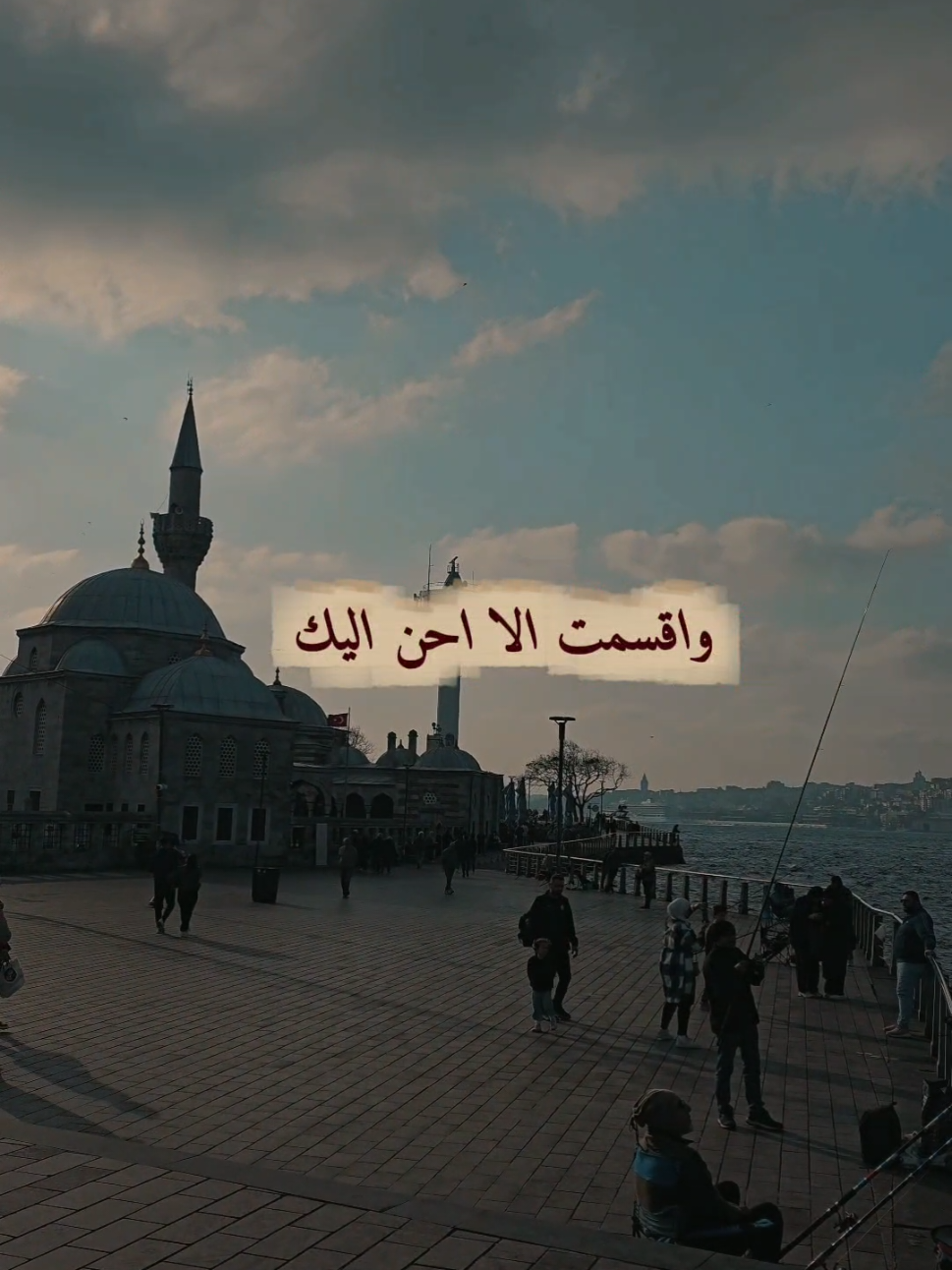 وأقسمت ألا أحن إليك  #خواطر  #شعر  #اكسبلورexplore  #اقتباسات 