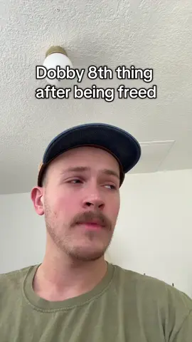 Dobby got his loadout #fyp #harrypotter 