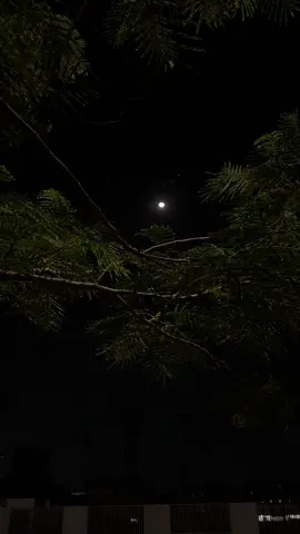 روح قولة ياقمر #تصويري #قمر #fypシ゚ #الليل 