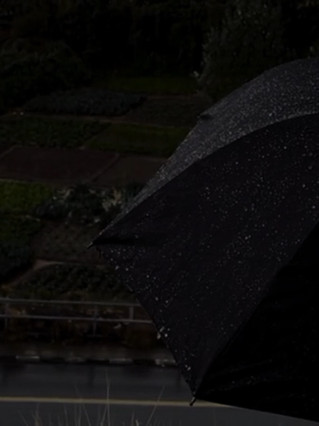 سورة السجدة #ياسر_الدوسري #يدبر_الأمر_من_السماء #سورة_السجدة #الشيخ_ياسر_الدوسري #قرآن 