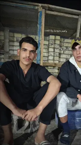 #CapCut ##تصميم_فيديوهات🎶🎤🎬تصميمي🔥 #شعراء_وذواقين_الشعر_الشعبي🎸 