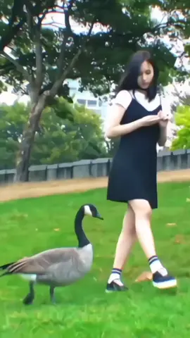 Mina 🥰❤️❤️ #트와이스 #OT9 #나연 #정연 #모모 #사나 #지효 #미나 #다현 #채영 #쯔위 #나정모사지미다채쯔 #fyppppppppppppppppppppppp