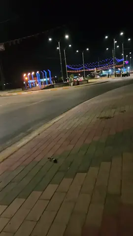 واسط قضاء الحي شارع الزيتون❤️🪬