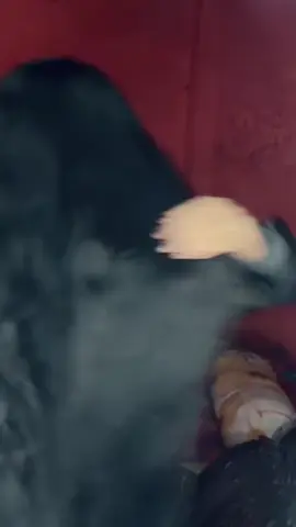 Khola chul🥺❤️#fyp #NS #niladritasarkar😇 #❤️ 