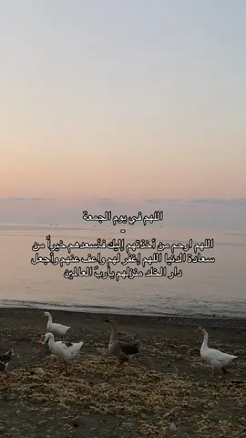سأضل وفياً ياصديقي ماحييت 🤎🍃#صدقة_جارية #اللهم_أرحم_موتانا_وموتى_المسلمين #قران #اكسبلور #دعاء #اللهم_أشفي_كل_مريض_يتألم_ولايتكلم 