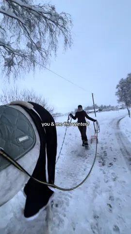 war die coolste zeit @Nelly & Maja 🥹💓 #fy #fyp #viral #horsesoftiktok #equestrian 