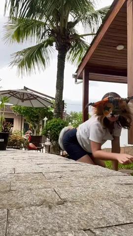 Meow :3 #warriorcats #catmask #otherpaw #notatherian #quadrobics 